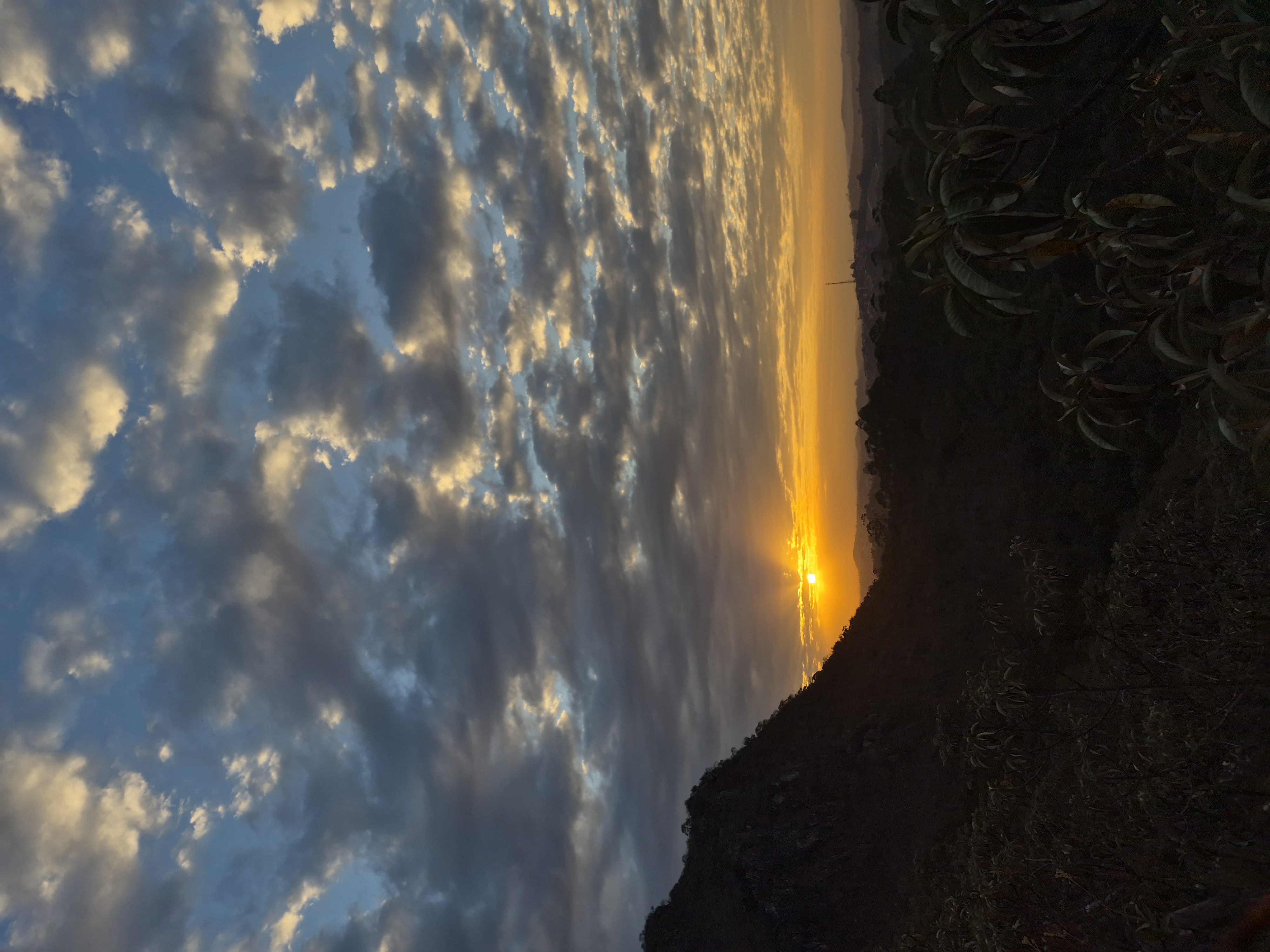 Fotografia de um passeio que fizemos juntos
